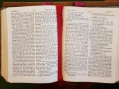 20181209_113717_resized