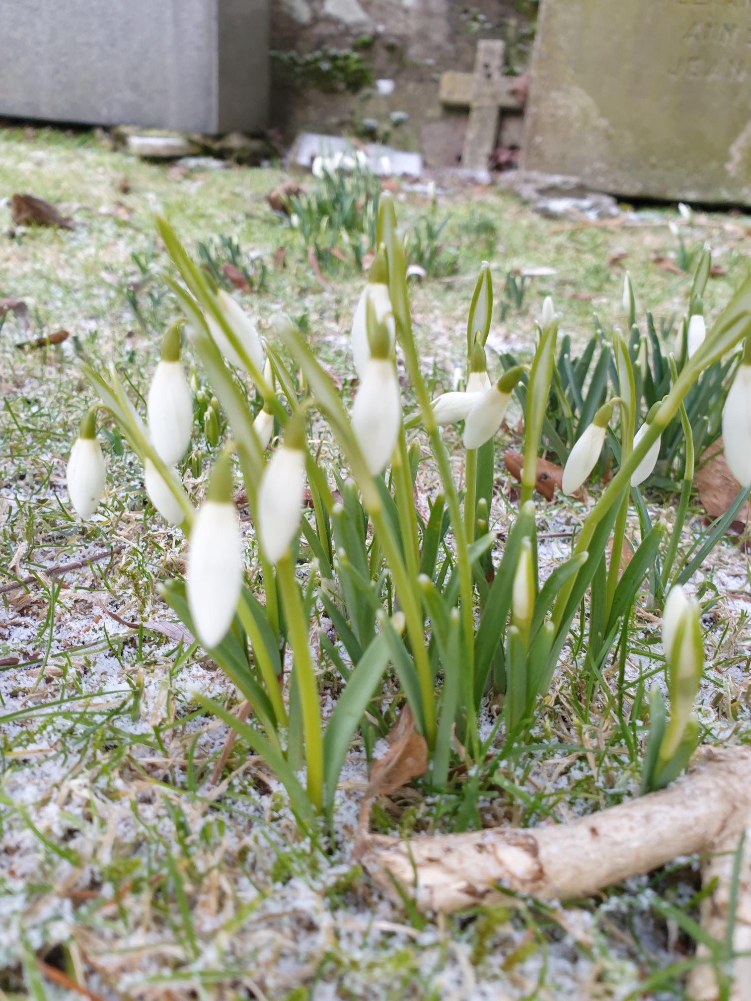 20210131_100456_resized