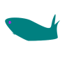 Whale